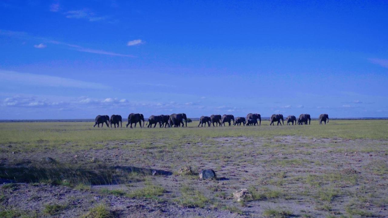 Amboseli Gateway Hotel Kimana Экстерьер фото